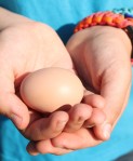 Egg Hunts–Not Just for Easter Anymore!